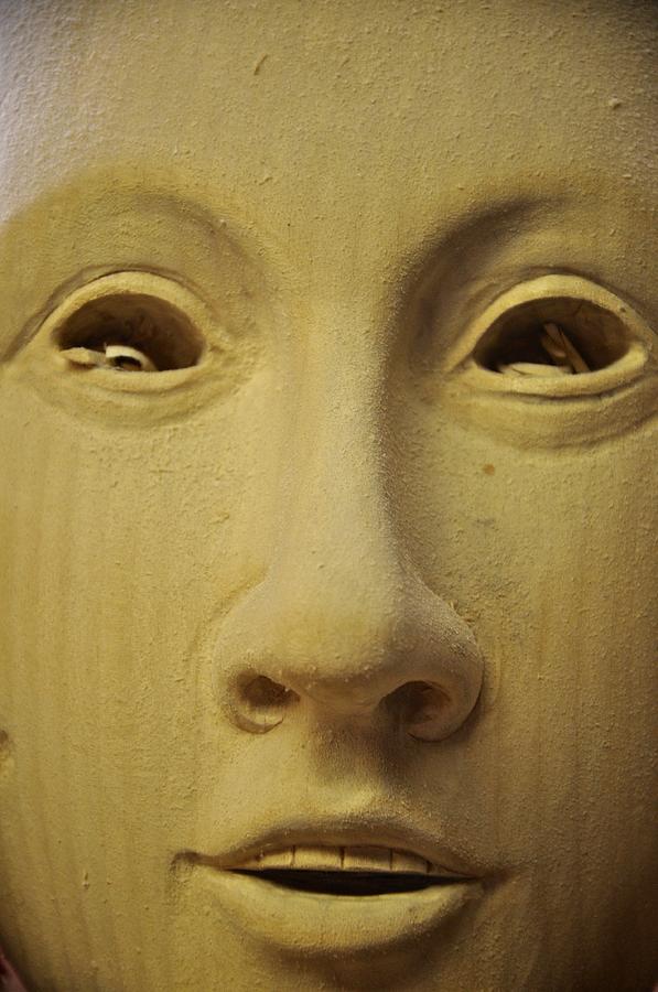 Freshly carved face Photograph by Matt MacMillan
