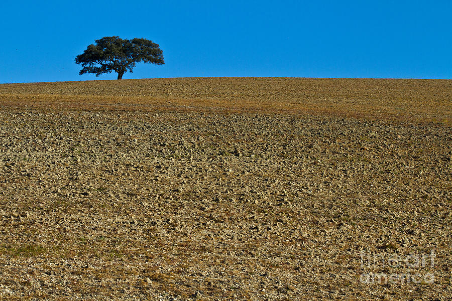 Freshly Ploughed Field Photograph