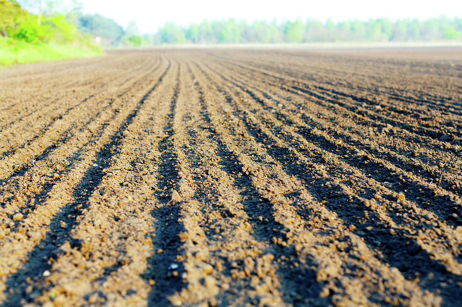 Outdoors Photograph - Freshly Ploughed Field by Wladimir Bulgar