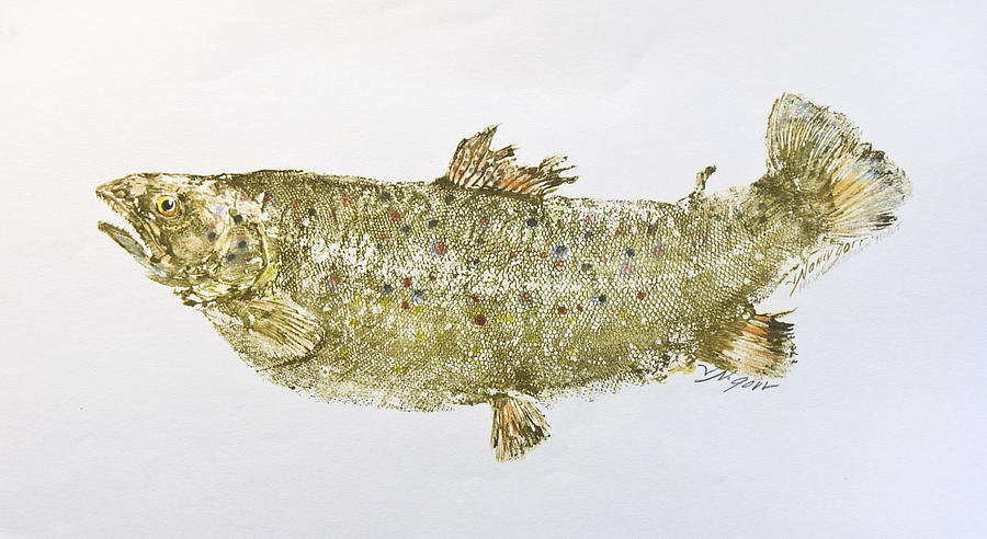 Fish Mixed Media - Freshwater Brown Trout by Nancy Gorr