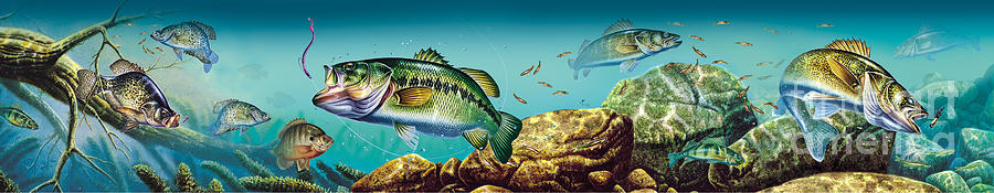 Fish Painting - Freshwater Lake Scene by JQ Licensing