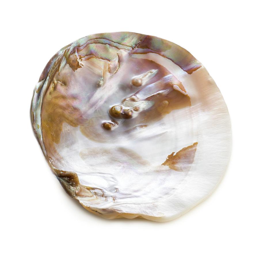 pearl oyster shell