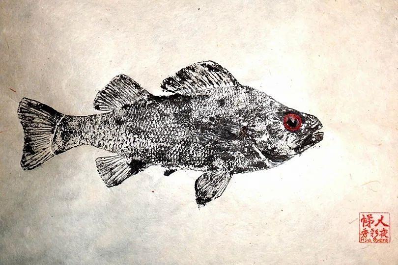Fish Mixed Media - Freshwater Perch by David Syers