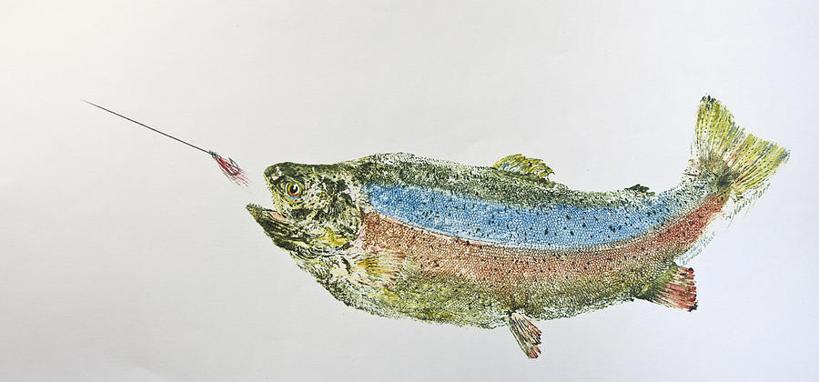 Trout Mixed Media - Freshwater Rainbow Trout With Fly by Nancy Gorr