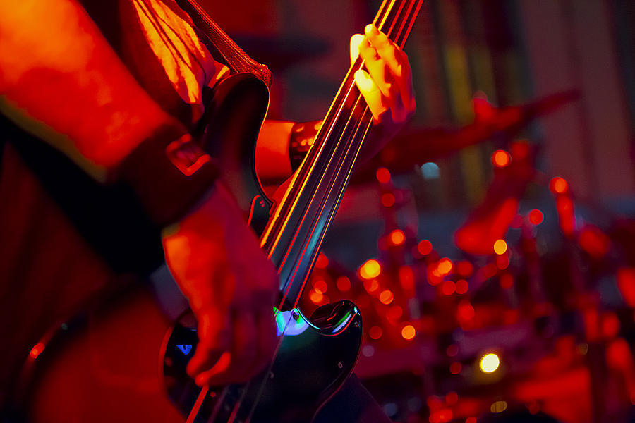 Fretless Bass Photograph by Glenn Woodell