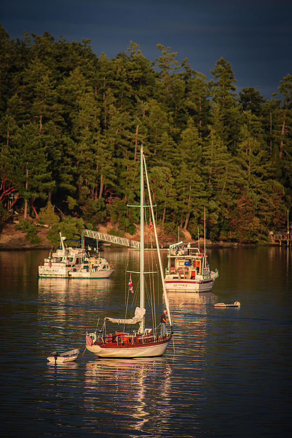 Friday Harbor Photograph by Mike Penney - Fine Art America