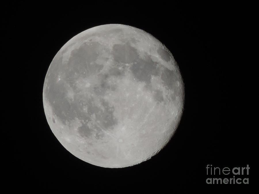 Friday The 13th Full Moon Photograph by Luke Pixels