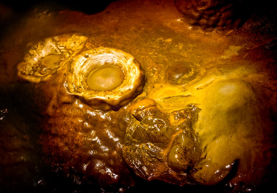 Fried Eggs at Luray Caverns Photograph by Mark Andrew Thomas