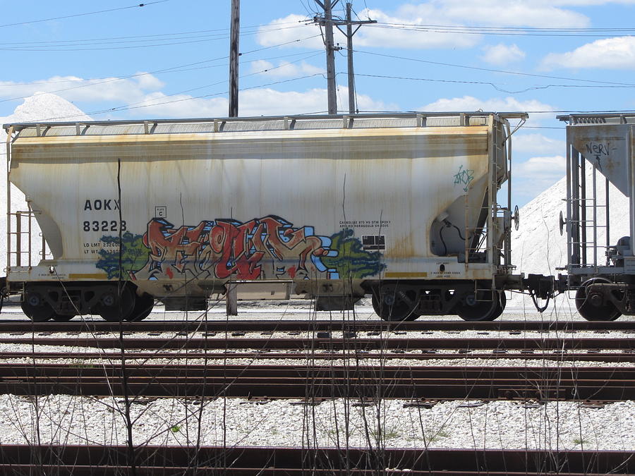 Frieght Train Grafitti 2 Photograph by Anita Burgermeister