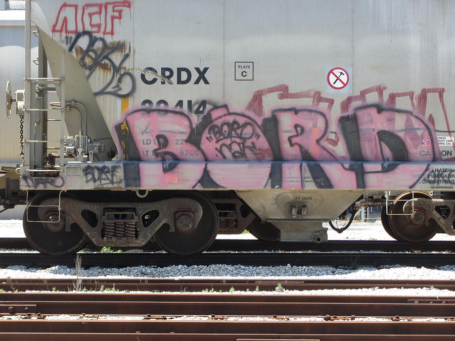 Frieght Train Grafitti 4 Photograph by Anita Burgermeister