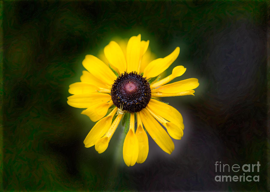 Friend With Benefits Yellow Flower Artwork by Omaste Witkowski Photograph by Omaste Witkowski