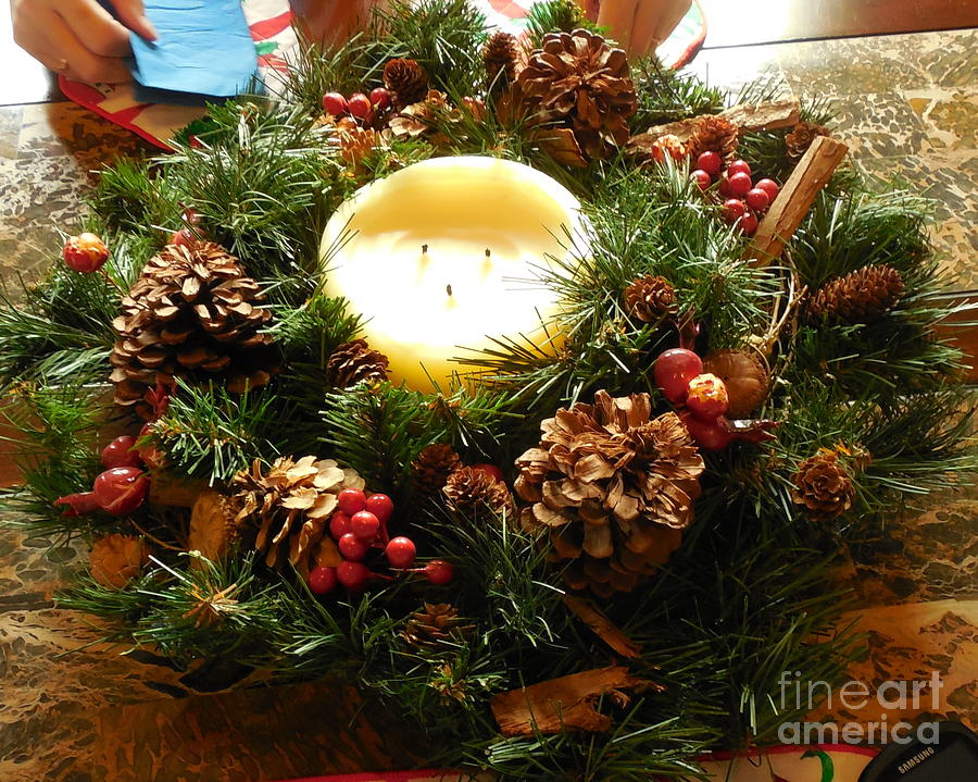 Friendly Holiday Reef Photograph by Robin Coaker