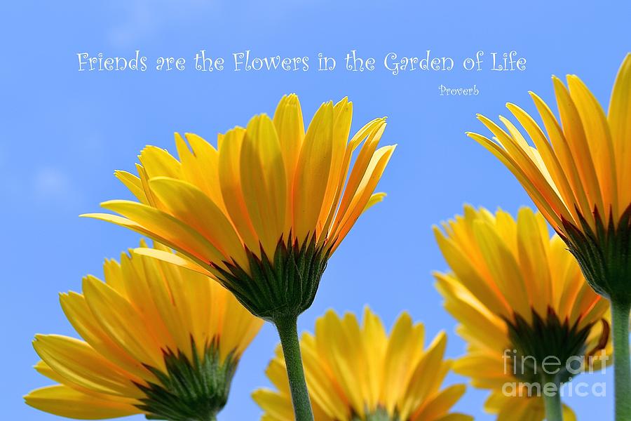 Friends Are The Flowers In The Garden Of Life - Inspirational ...