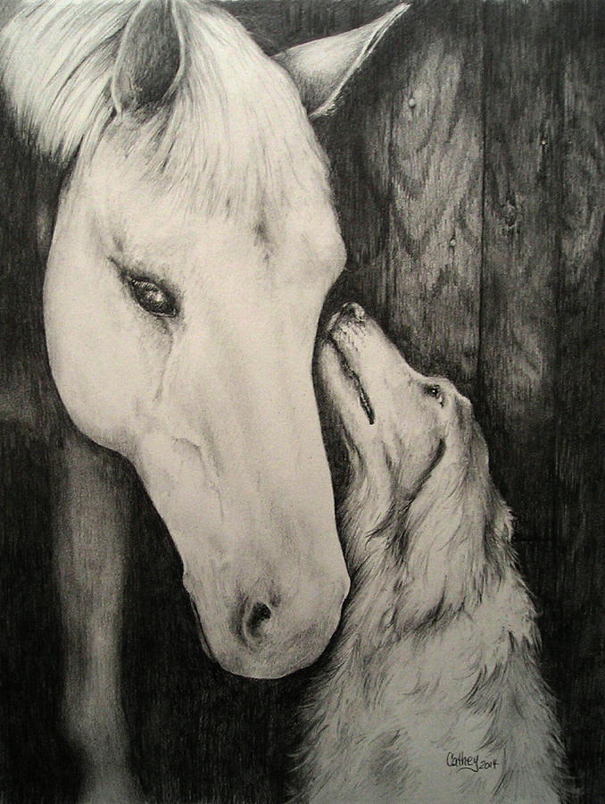 Nature Drawing - Friends by Catherine Howley