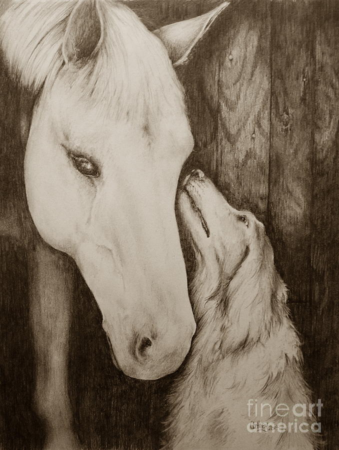 Friends in Sepia Drawing by Catherine Howley