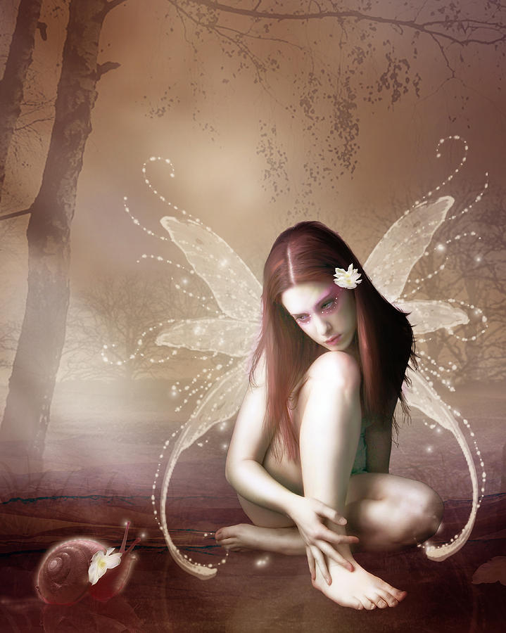 Fairy Digital Art - Friends by Karen Howarth