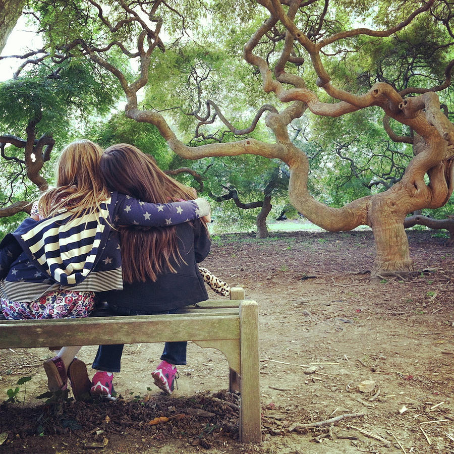 Friends Under Tree Canopy Photograph by Cyndi Monaghan