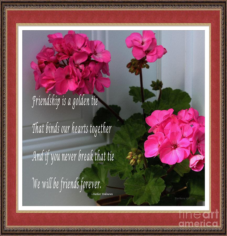 Flower Photograph - Friendship is a Golden Tie - Pink Frame by Barbara A Griffin