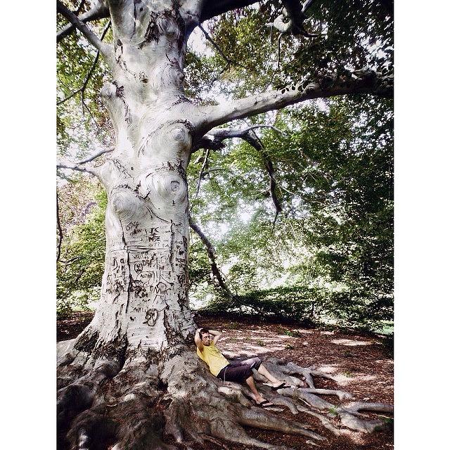 New York City Photograph - friendship Is A Sheltering Tree. by Natasha Marco