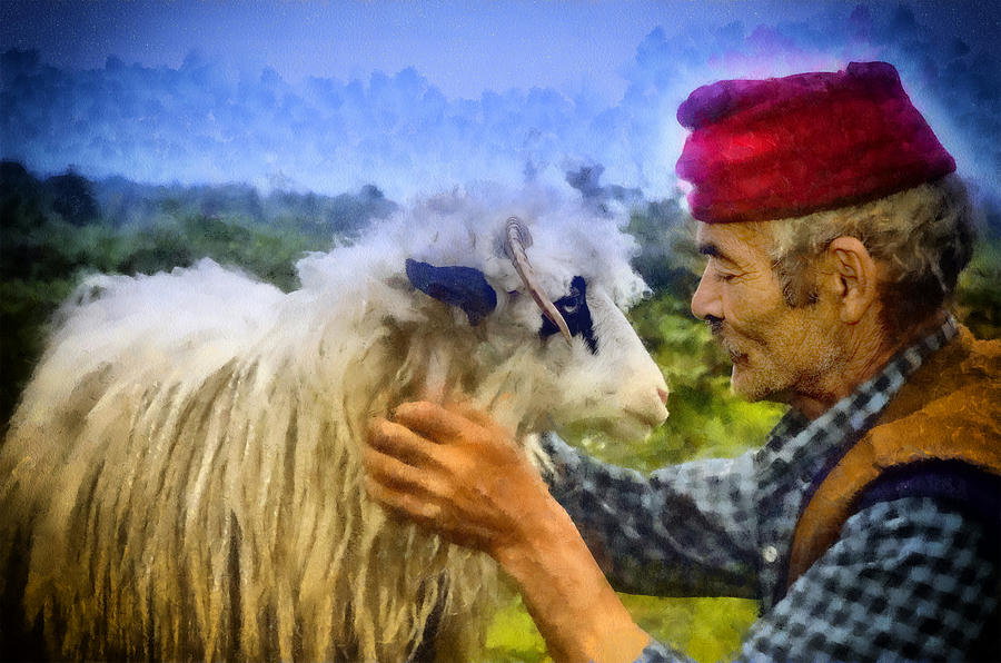 Sheep Photograph - Friendship by Okan YILMAZ
