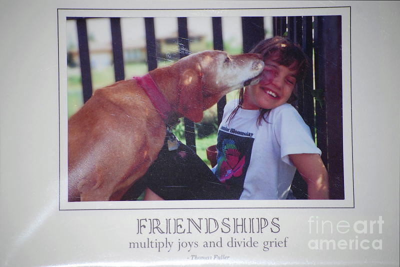Friendships Photograph by Sharon Elliott