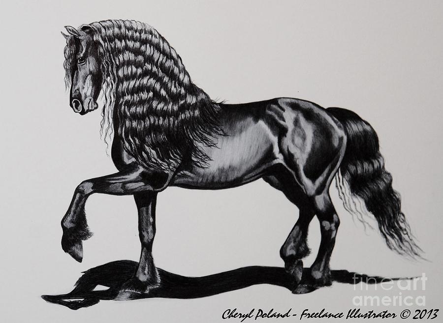 Friesian Mare Drawing by Cheryl Poland