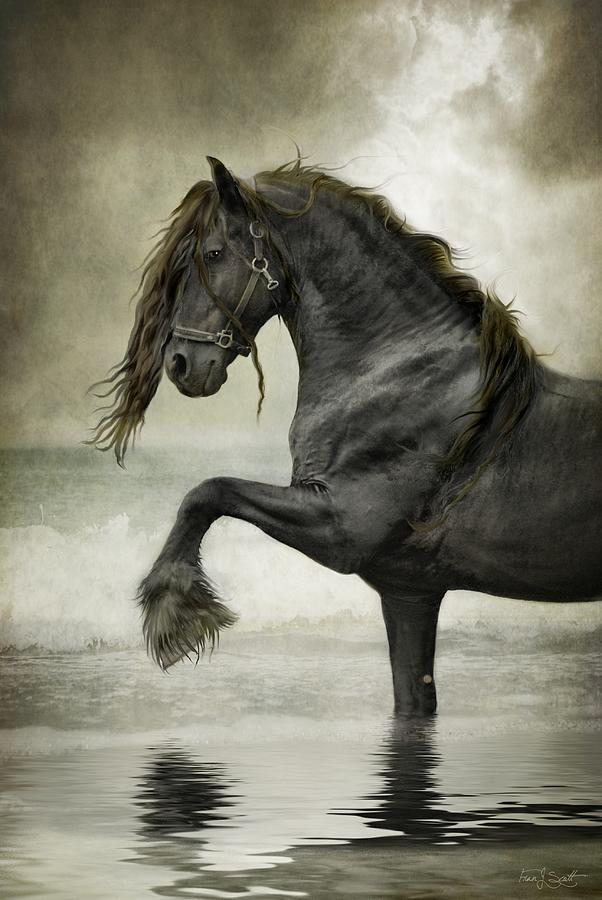 Friesian Surf Digital Art By Fran J Scott