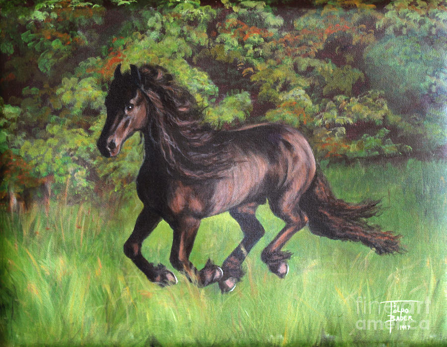 Friesian Way by Art By - Ti Tolpo Bader Friesian Way by Art By - Ti Tolpo Bader