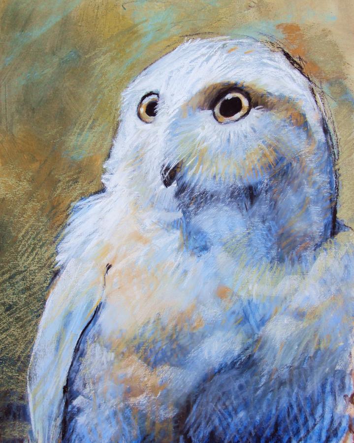 Owl Pastel - Fright by Tonja  Sell