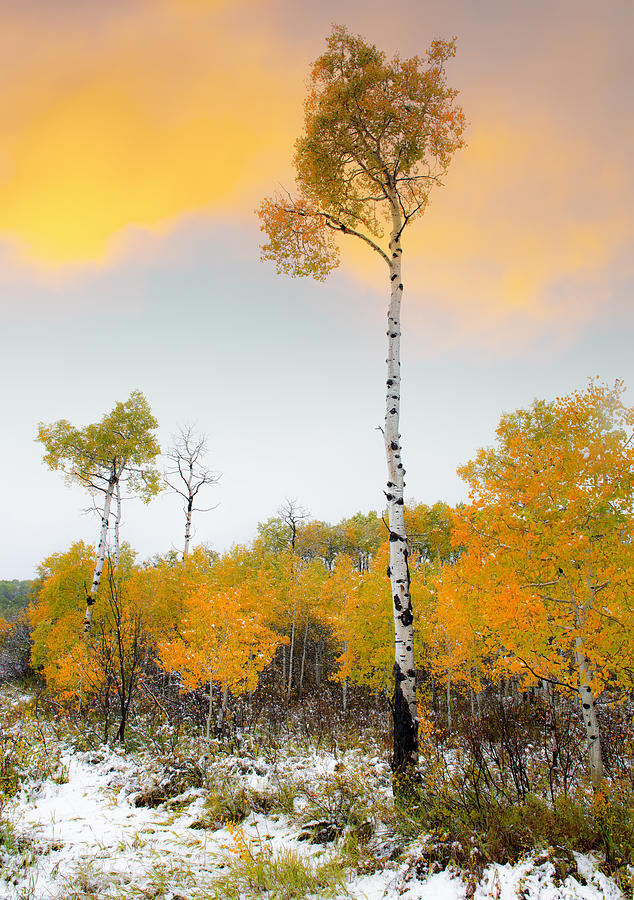 Frigid Beautiful Fall Photograph by Tim Reaves