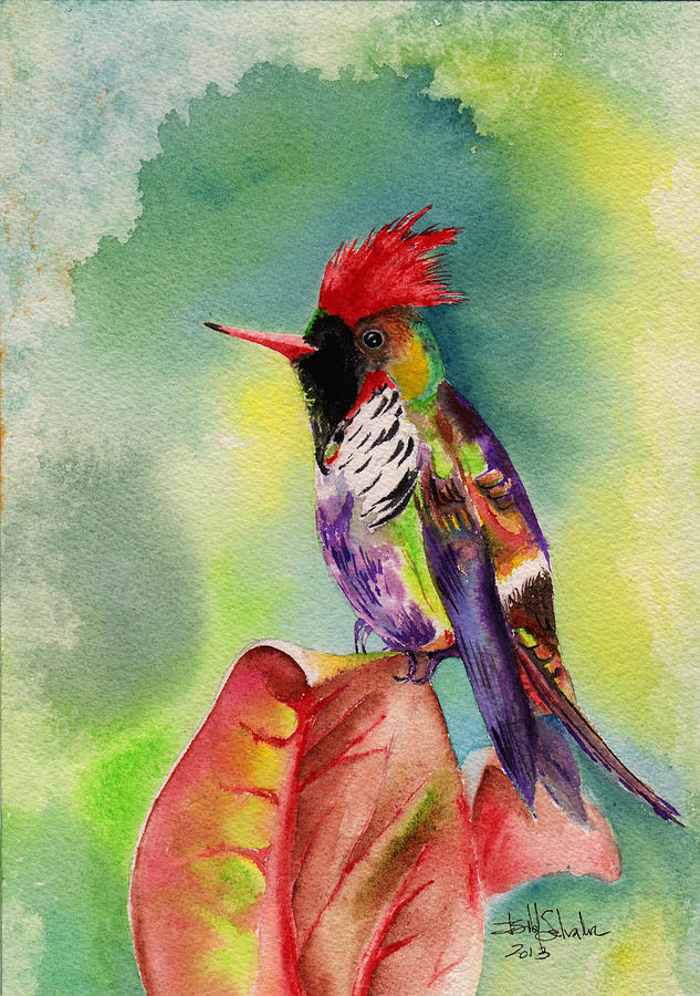 Frilled coquette Lophornis magnificus Painting by Isabel Salvador