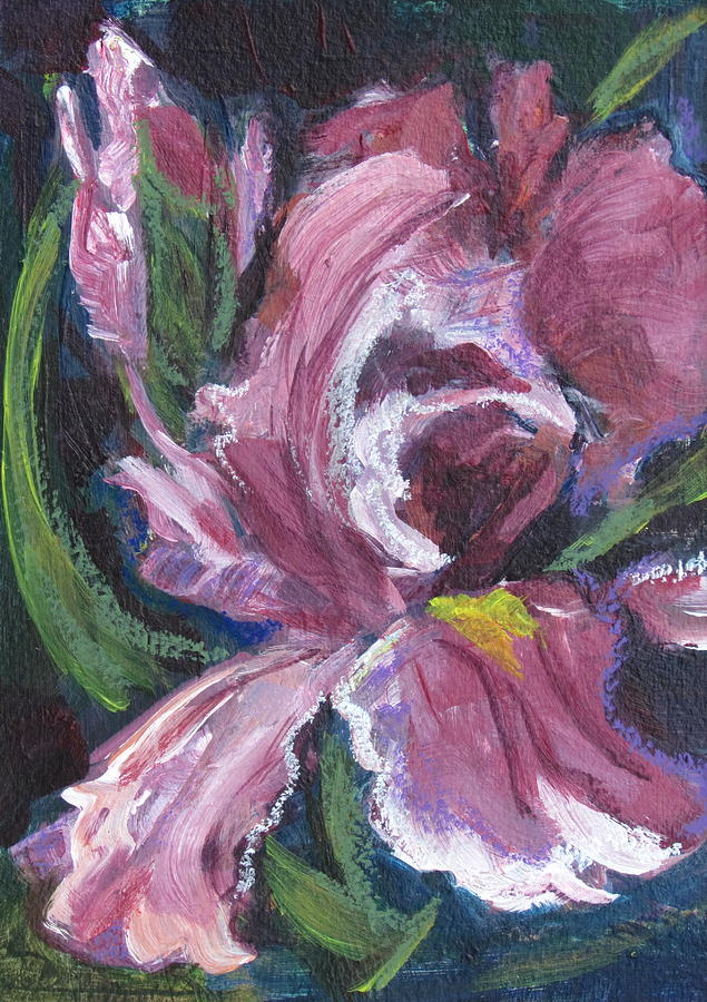 Frilly Pink Flower of Iris Ilk Painting by Betty Pieper