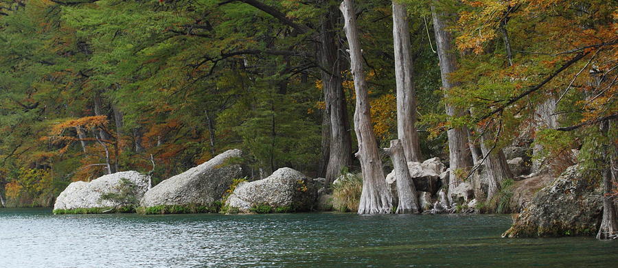Fall Photograph - Frio River 2 by Andrew McInnes