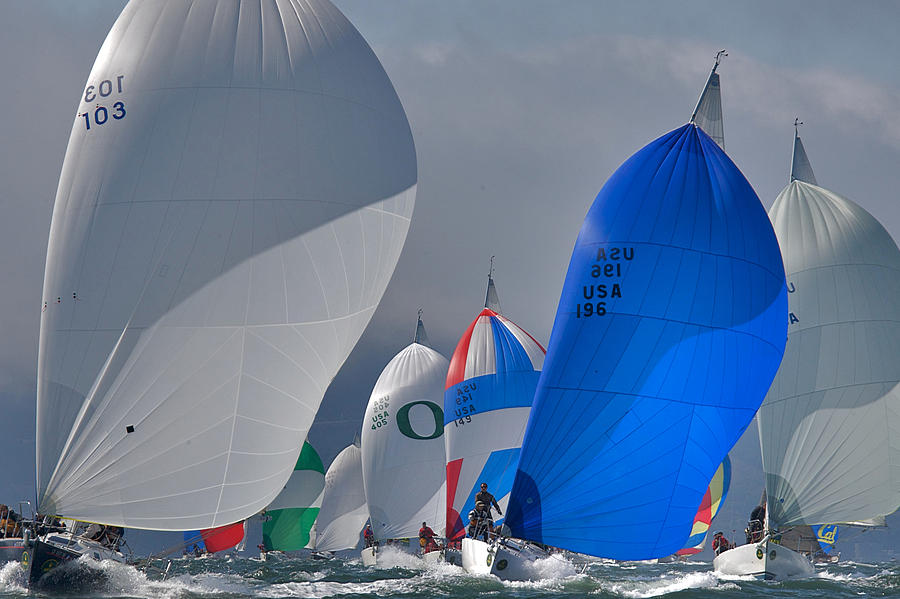 Frisco Spinnakers Photograph by Steven Lapkin