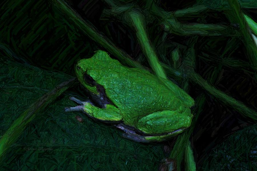 Frog 2 Photograph by Steven Clipperton