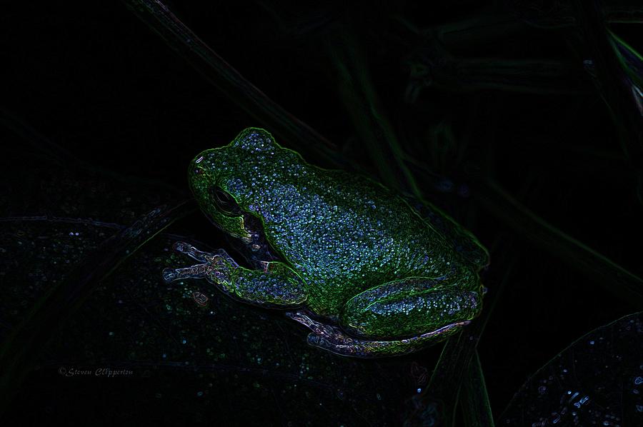 Frog 8 Photograph by Steven Clipperton