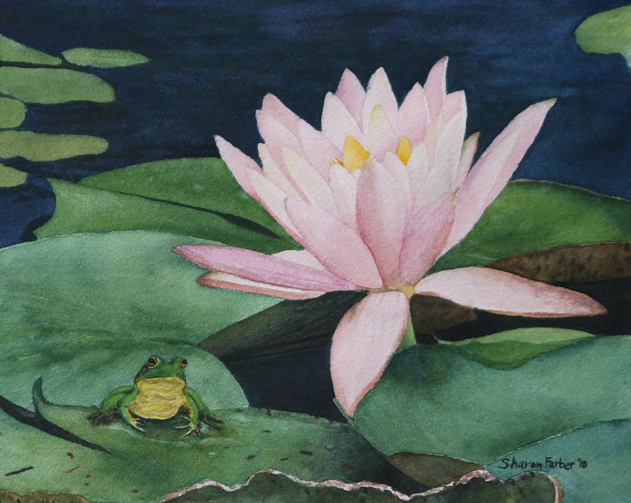 Frog And Water Lily Painting By Sharon Farber
