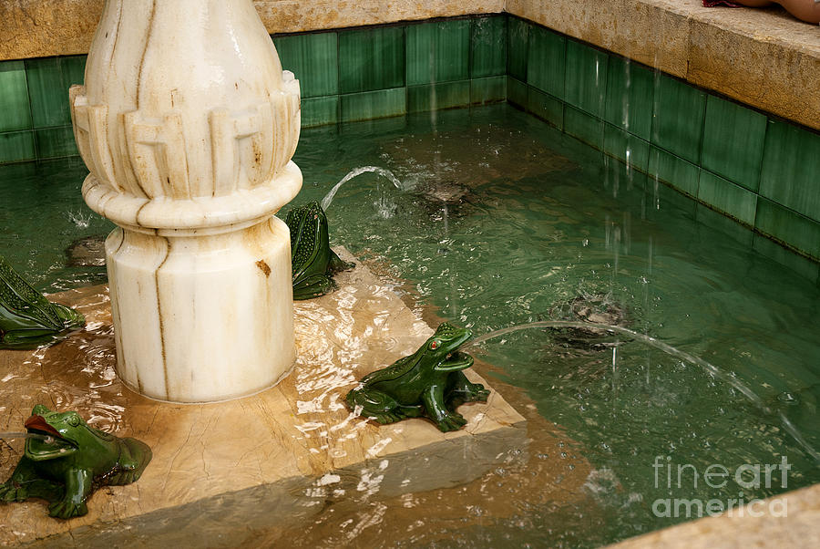 Frog Fountain Photograph by Brenda Kean