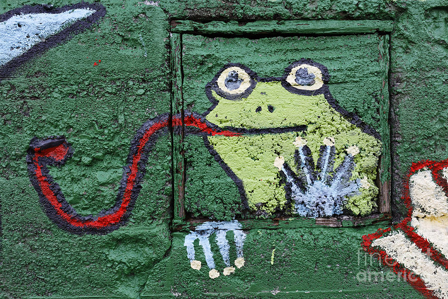 Frog Photograph - Frog Graffiti by Robert Preston