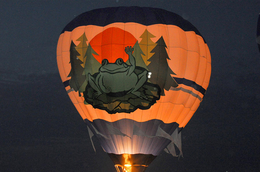 Frog hot air balloon Photograph by Diane Lent