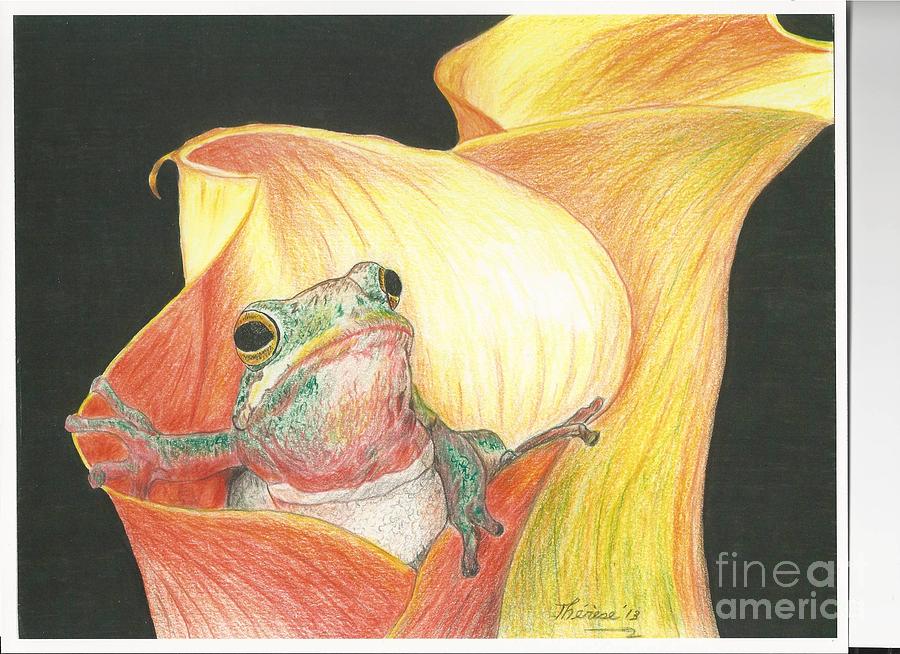 Frog Drawing - Frog in Flower by Bill Hubbard
