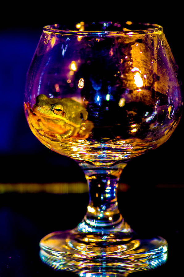 Frog in glass Photograph by Gerald Kloss