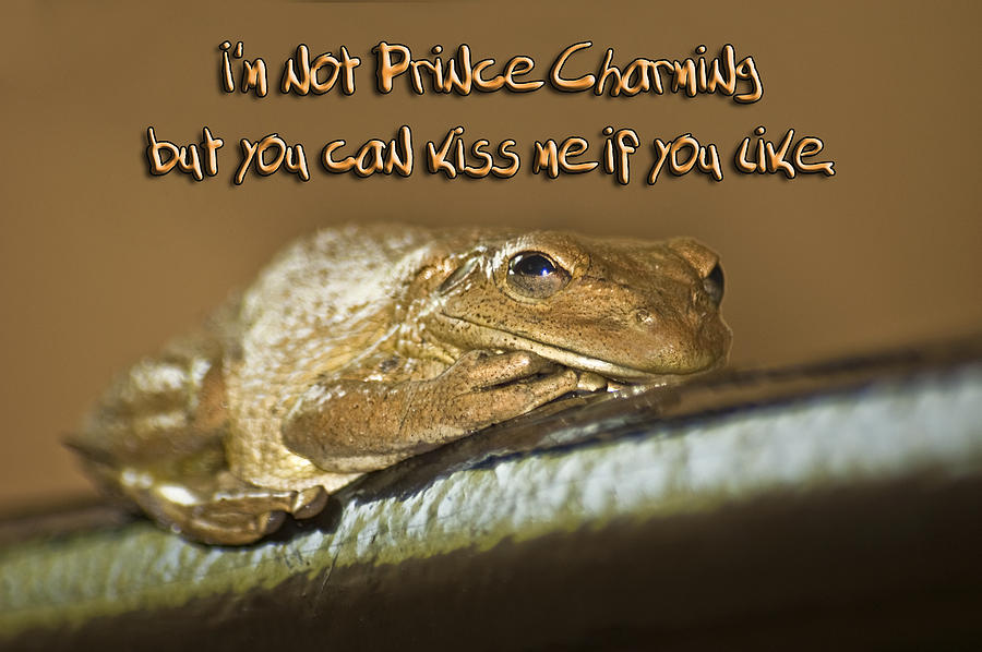 Nature Photograph - Frog Prince by Carolyn Marshall