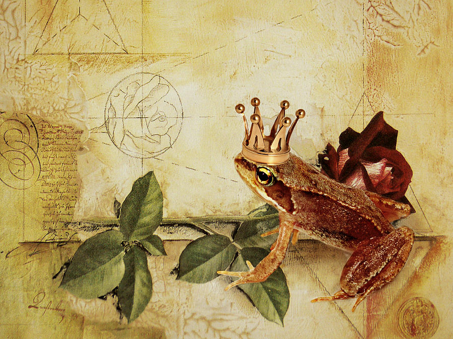 Frog Mixed Media - Frog Prince by Heike Hultsch