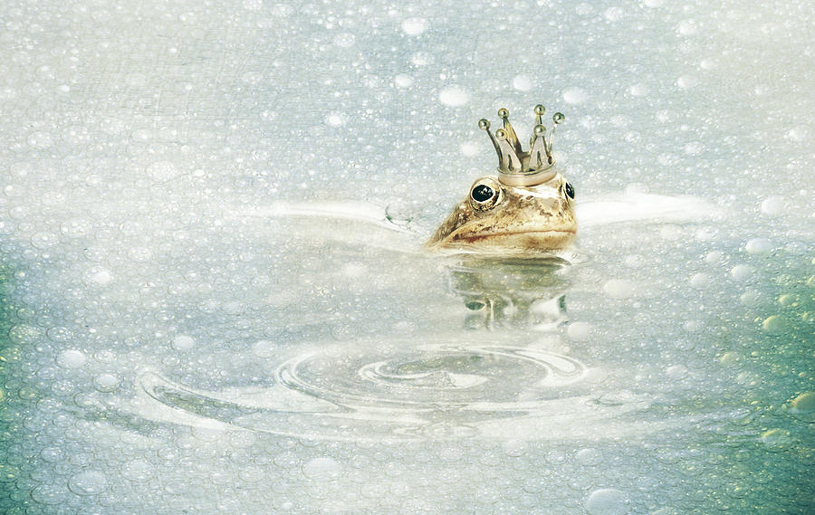 Frog Mixed Media - Frog prince in the rain by Heike Hultsch