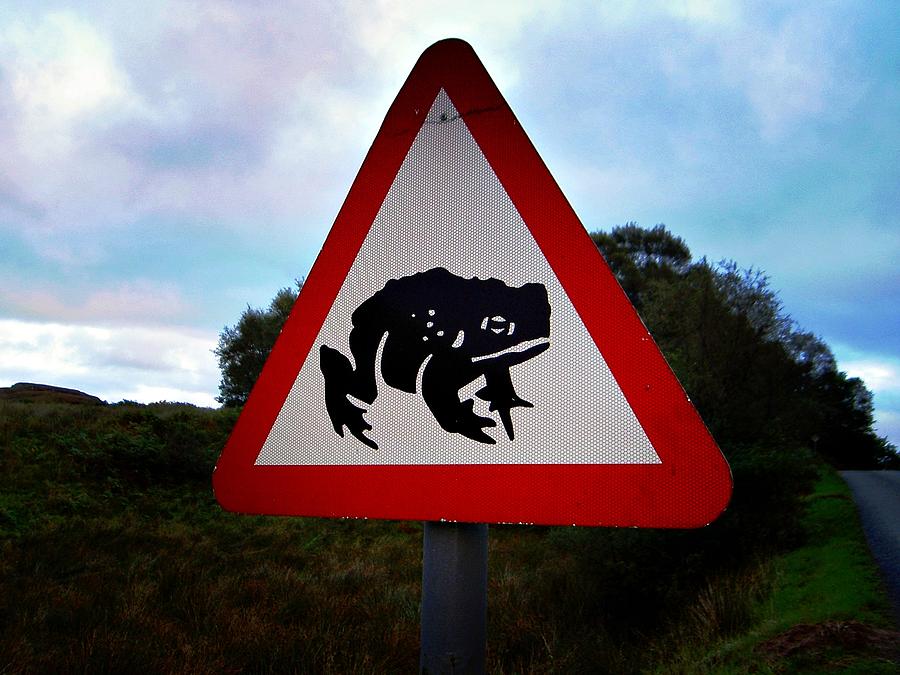 Frog Road Sign Photograph by Henry Kowalski