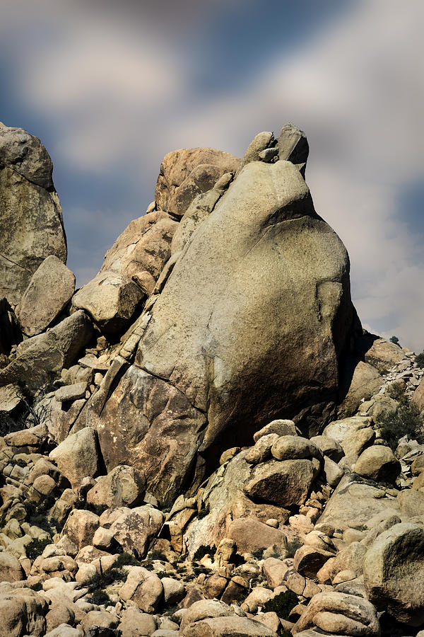 Frog Rock Photograph by Gary Warnimont