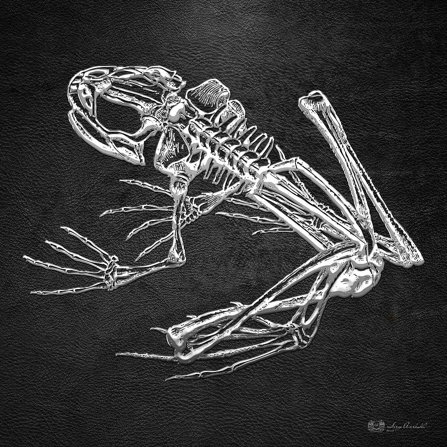 Frog Skeleton in Silver on Black  Digital Art by Serge Averbukh