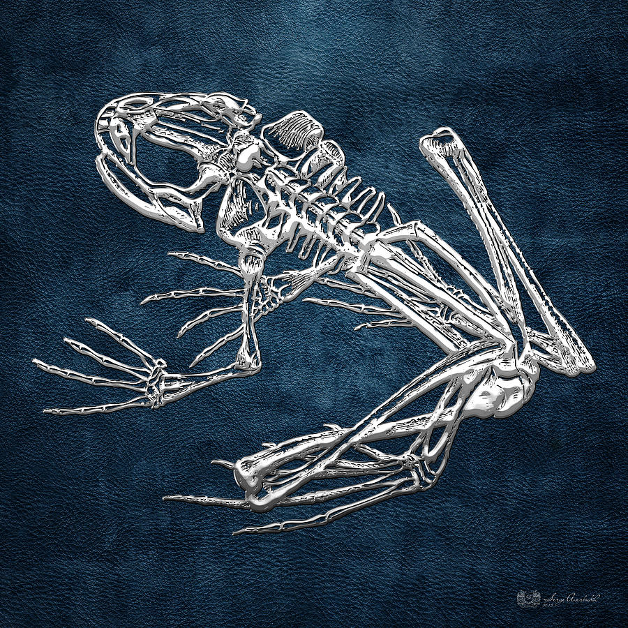 Frog Skeleton in Silver on Blue  Digital Art by Serge Averbukh