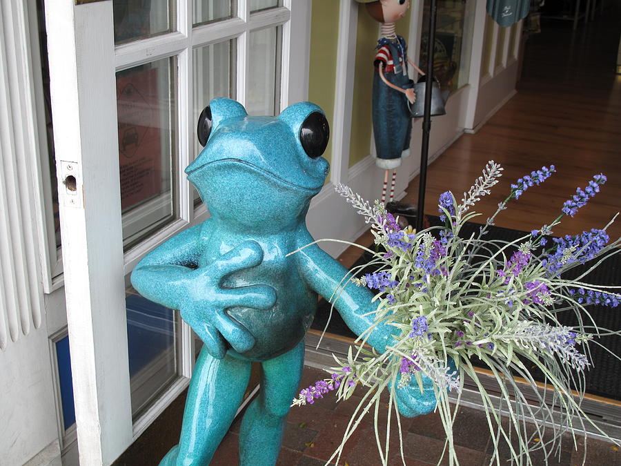 Frog Suitor Photograph